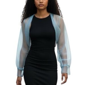 Light Blue Sheer Mesh Bolero Shrug